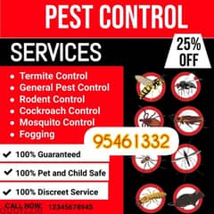 Pest control service for insects cockroaches bedbugs lizard ants 0