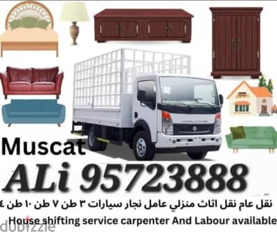 Profesional Mover Carpenter House villa Office shifting furniture fix