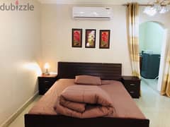 fully furnished studio for rent 0