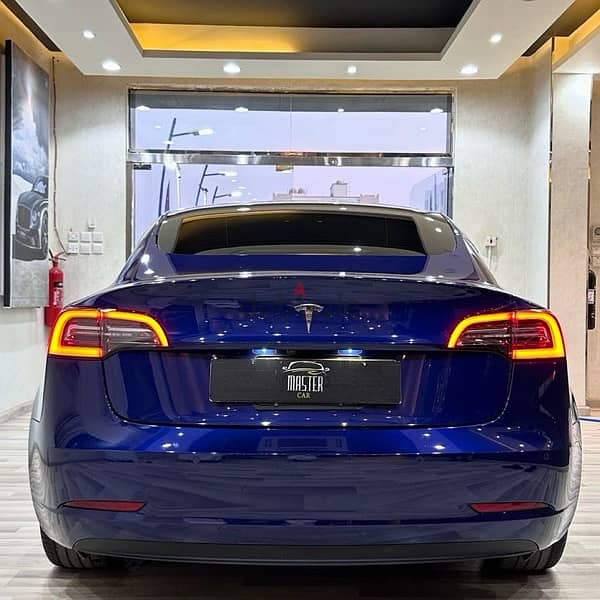 Tesla Model 3 2021 2