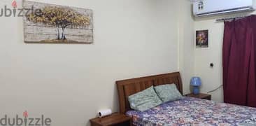 Furnished Room for rent 0