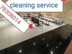 home cleaning house cleaning apartment cleaning villa cleaning flat 0