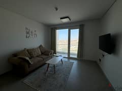 1 BR Fully Furnished Apartment – Muscat Hills, Hills Avenue Building 0