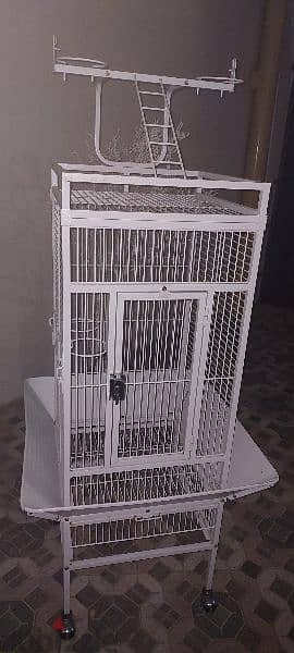 Bird Cage with wheels