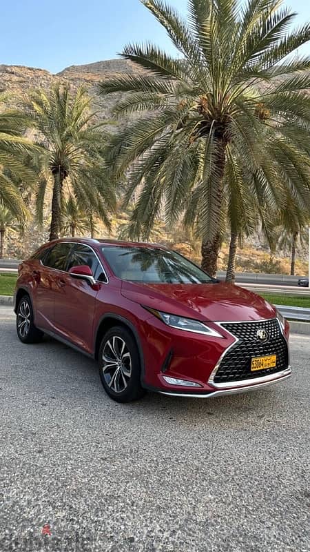 Lexus RX-Series 2022 6