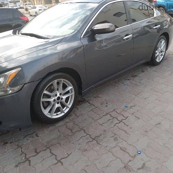 Nissan Maxima 2011 1