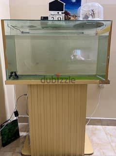 Big Fish tank 40 gallon 0