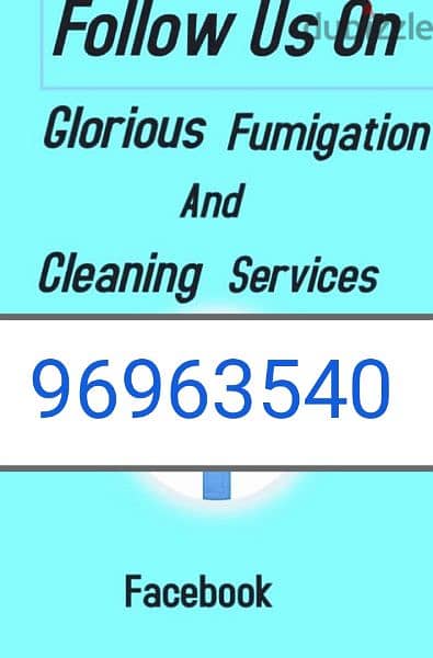 home cleaning house cleaning apartment cleaning villa cleaning flat 0