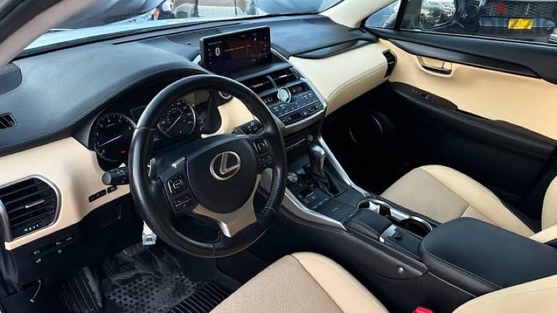 Lexus NX 300 2019 4