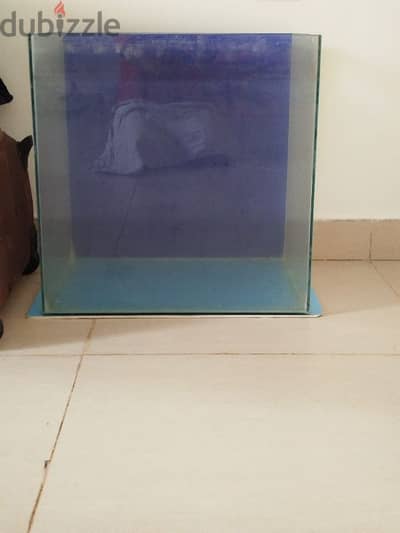 fish tank