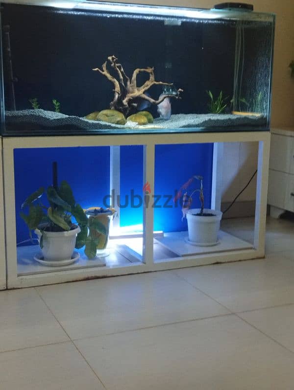 aquarium with iron stand, dophin light and canister filter 0