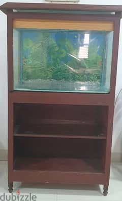 Fish Tank with Accessories Urgent sales 0