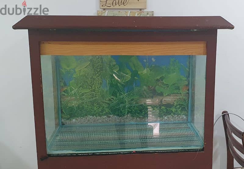 Fish Tank with Accessories Urgent sales 1