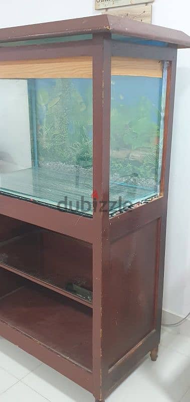 Fish Tank with Accessories Urgent sales 2