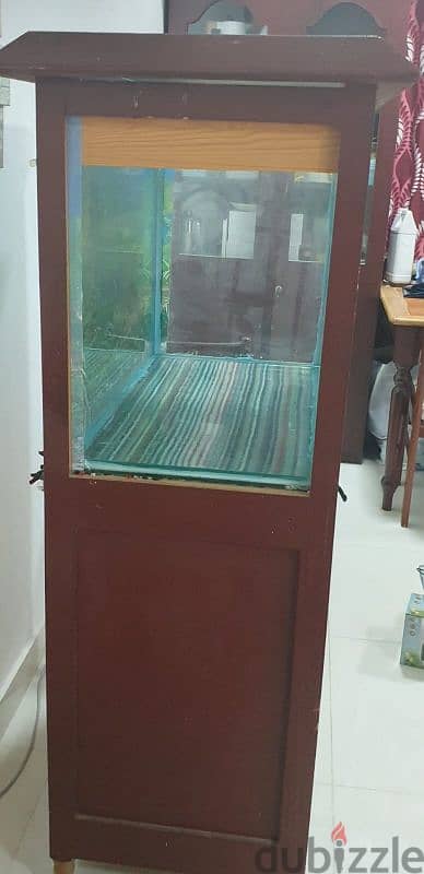 Fish Tank with Accessories Urgent sales 3