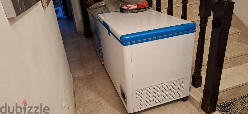 2 German Quality Freezers for Sale 1