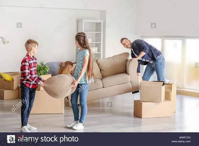 professional moving house office villa moving packing transportation