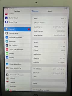 Ipad Pro 9.7in 128GB 0