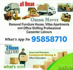 tHouse shifting services and furniture fixing 0