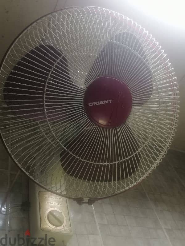 Orient Wall Fan 2