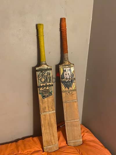 cricket bat