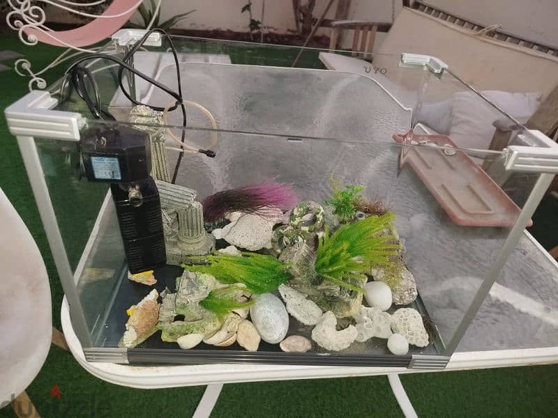 equarium for sale 5