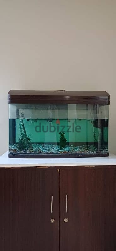 Aquarium For Sale