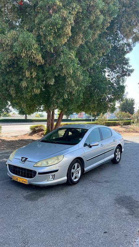 Peugeot 407 2005 1