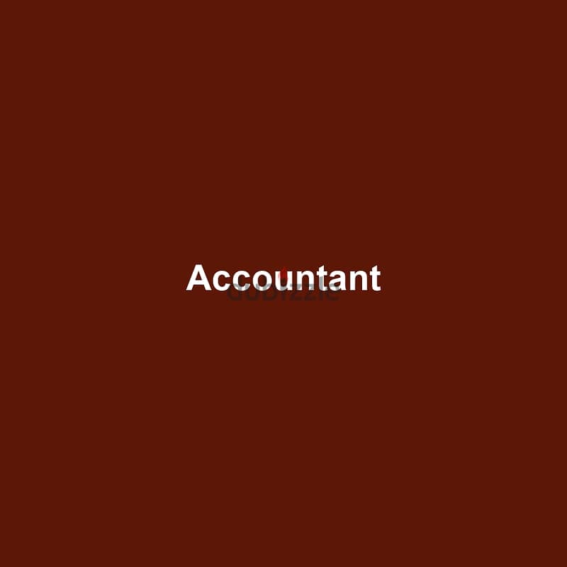 Accountant 0