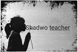 Shadow teacher / معلم ظل 0