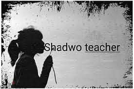 Shadow teacher / معلم ظل