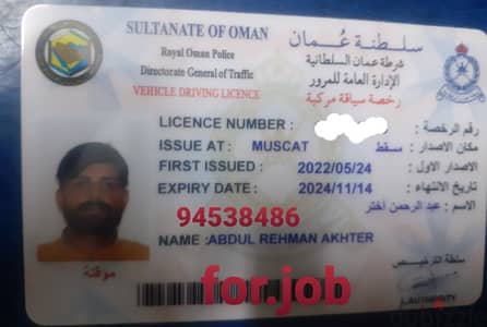 I need driving job I have light and heavy license