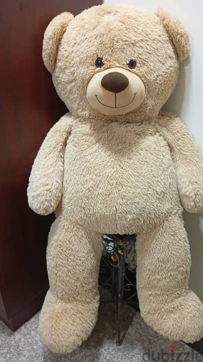 Teddy Bear  for Sell