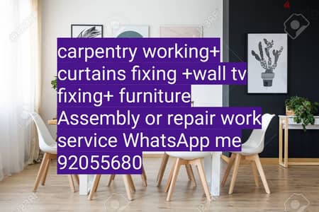 carpenter/electrician/plumber work/door repair, polishing/IKEA fix,