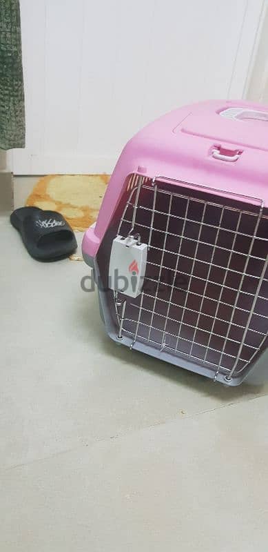 cat box 2