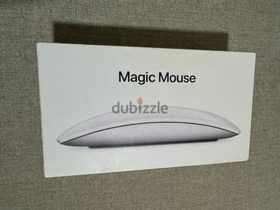 Magic mouse 2