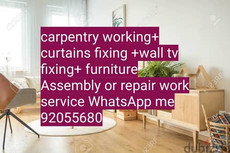 carpenter/electrician/plumber work/door repair, polishing/IKEA fix,