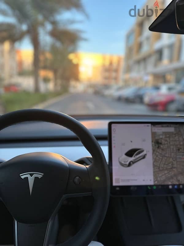 Tesla Model 3 2021 9