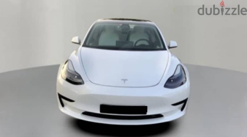 Tesla Model 3 2021 16