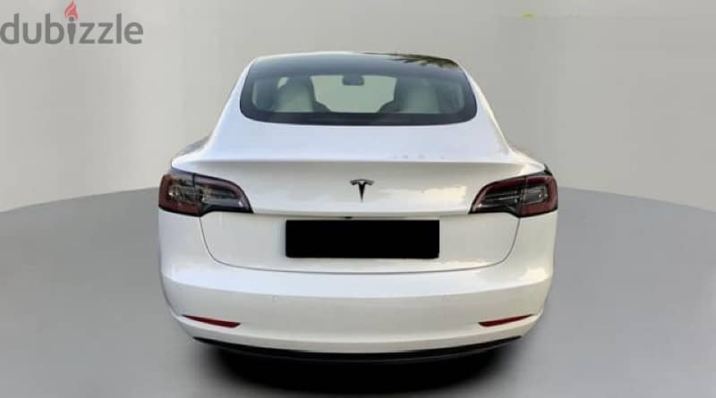 Tesla Model 3 2021 18