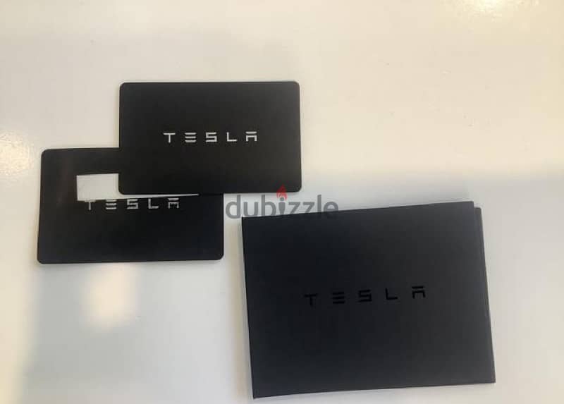 Tesla Model 3 2021 19