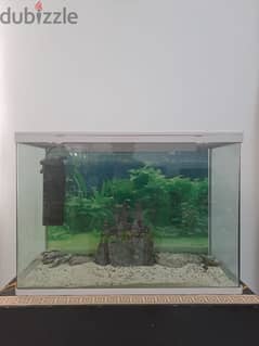 FISH TANK (AQUARIUM) FOR SALE! 0