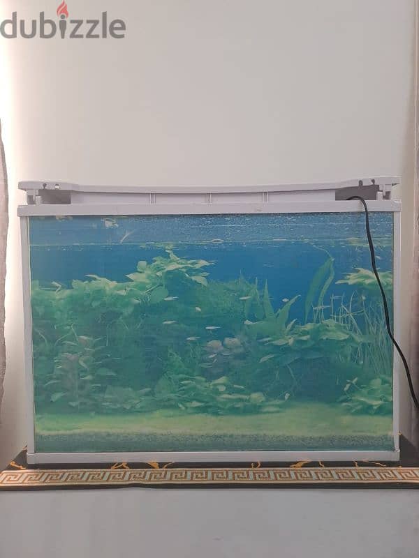 FISH TANK (AQUARIUM) FOR SALE! 2