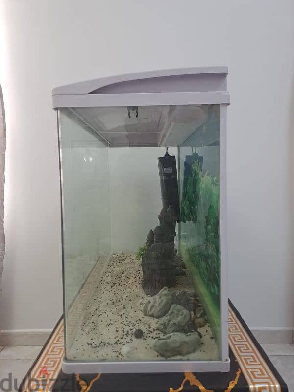 FISH TANK (AQUARIUM) FOR SALE! 3