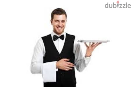 I am searching  for a waiter job