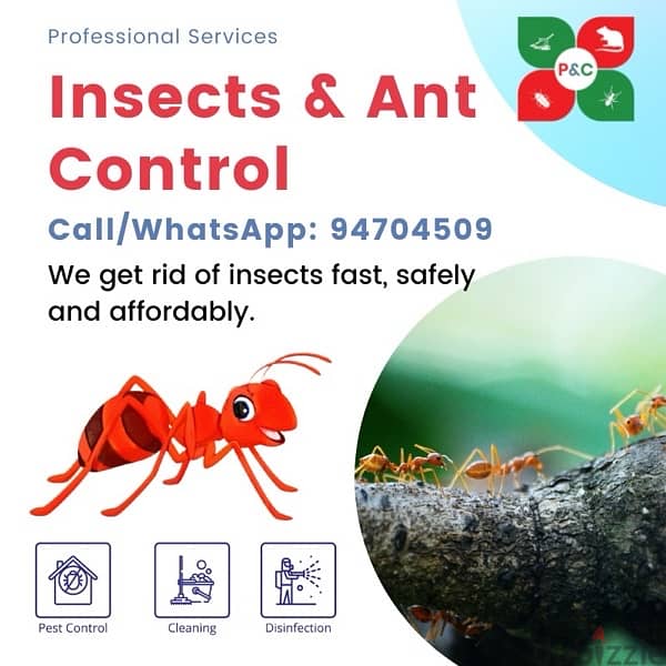 pest control oman 8