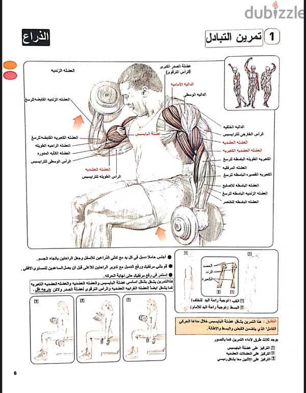 كتاب تشريح تدريب القوة لكمال الأجسام 1