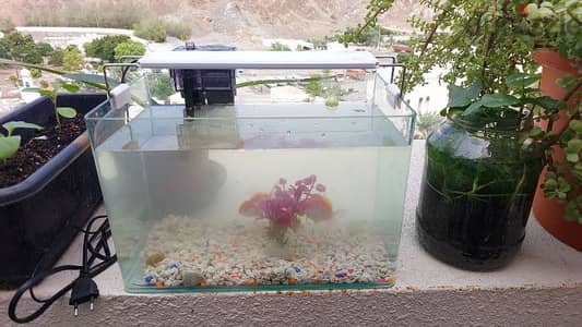 Aquarium