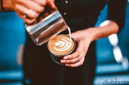 we are hiring barista for cafe inside university