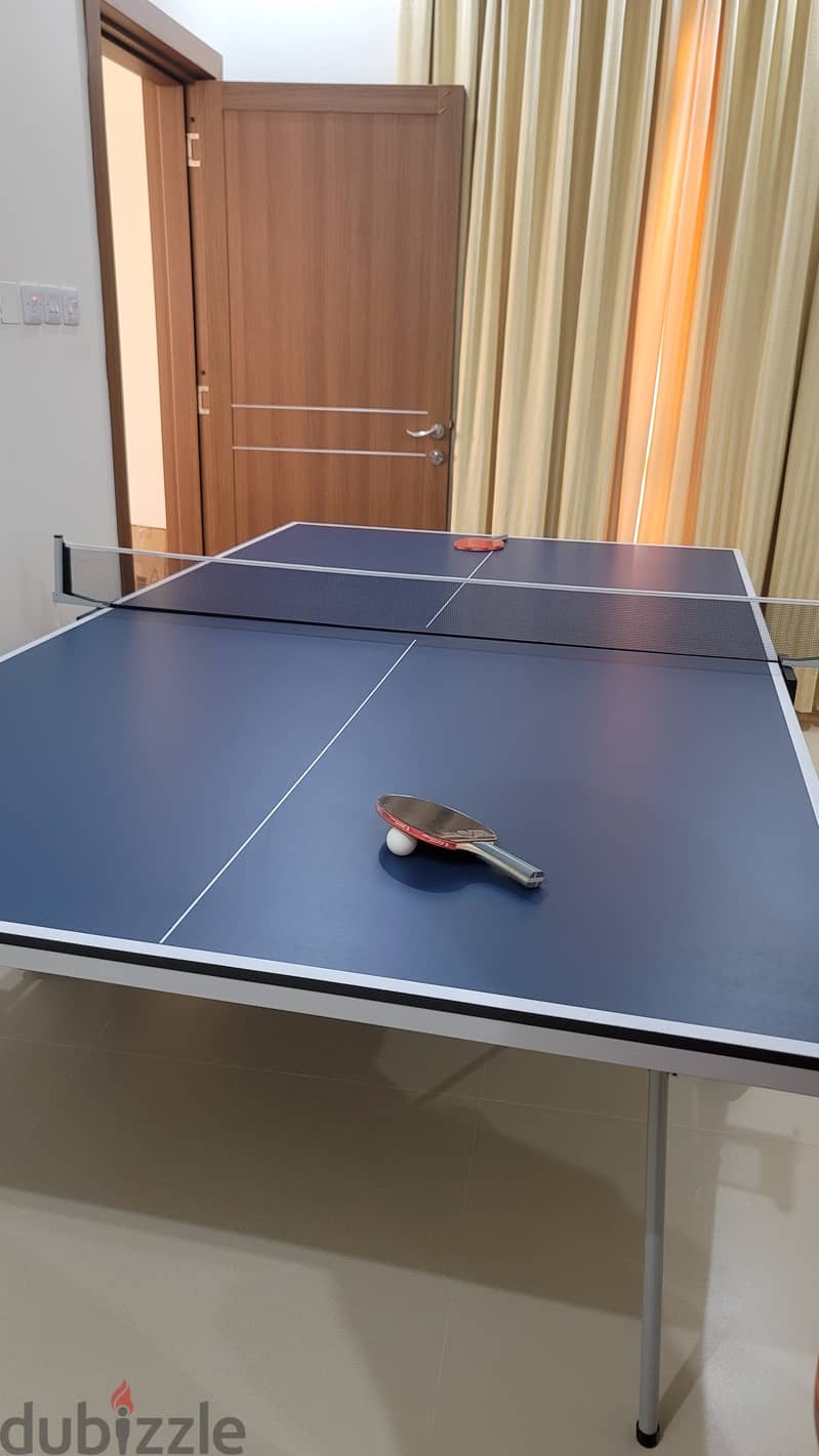 New Table Tennis with balls 0